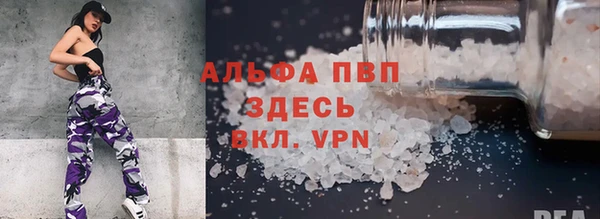 гидра Вязьма