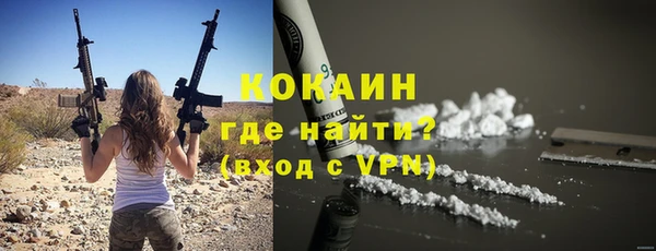 гидра Вязьма
