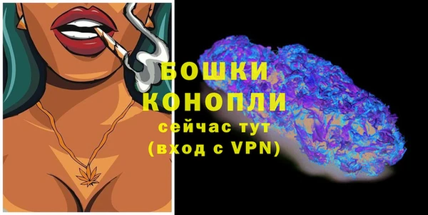 Альфа ПВП Вяземский