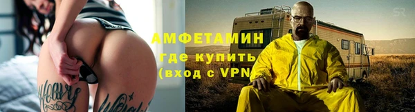 гидра Вязьма