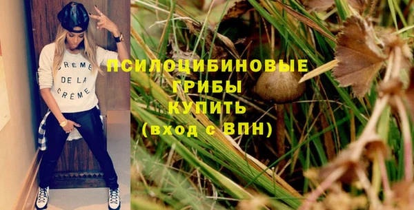 MDMA Новозыбков