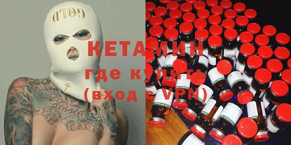гидра Вязьма