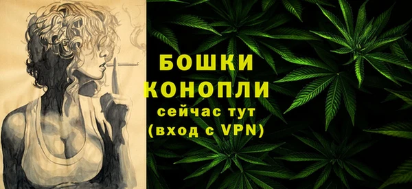 гидра Вязьма