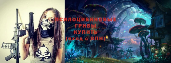 Альфа ПВП Вяземский