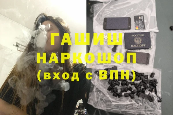 гидра Вязьма