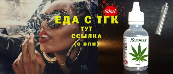 гидра Вязьма