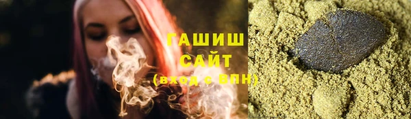 гидра Вязьма