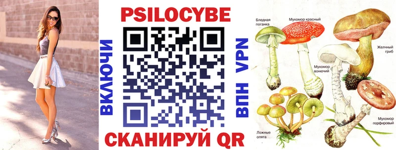 Галлюциногенные грибы Cubensis  Горбатов 